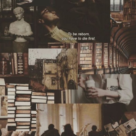 Meet your Posher, Lived In Threads - Picture 10 of 14